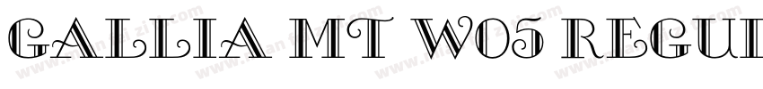 Gallia MT W05 Regular字体转换